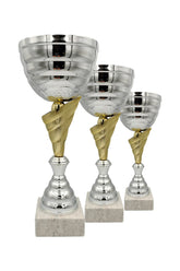 CTS 307 | SET de 3 Cupe Sportive - TrophyShop